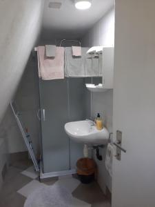 KrapjeHoliday Home Bojko的一间带水槽和淋浴的小浴室