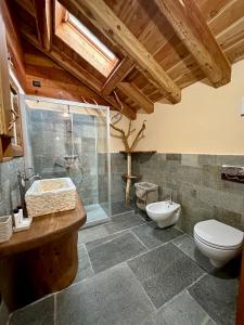 格拉韦洛纳托切LA PIANA DAL SAS的浴室配有卫生间、淋浴和盥洗盆。
