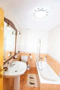 阿罗约弗里奥La Alondra的一间带水槽、浴缸和卫生间的浴室