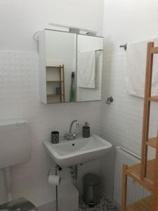 Altbauwohnung mit viel Charme in zentraler Lage的一间浴室