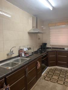 阿杰隆Ajloun 2 bedrooms apartment的厨房配有水槽和炉灶