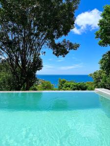 涛岛Tanote Villa SHA Extra Plus的海景游泳池