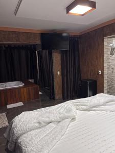 皮雷诺波利斯Pousada Raio de Luz的一间卧室配有一张大床和一台平面电视