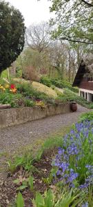 Vireux-MolhainCamp paradis的鲜花和蓝色花卉的花园以及建筑