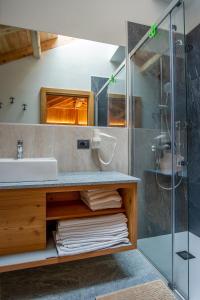 莫尔韦诺Dolomites Chalet Wolf的一间带水槽和玻璃淋浴的浴室