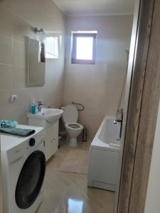 萨图马雷Amparo的浴室配有卫生间水槽和洗衣机。