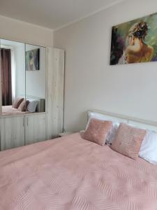 萨图马雷Amparo的一间卧室配有一张带粉红色棉被的大床