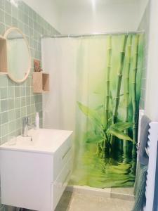 MasseboeufNatura的一间带植物淋浴帘的浴室