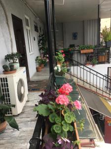 巴统Eka Guest House的建筑里种有鲜花和植物的阳台