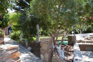 Agios DimitriosΟ Μήλας的一座花园,花园内种有树木,设有石墙