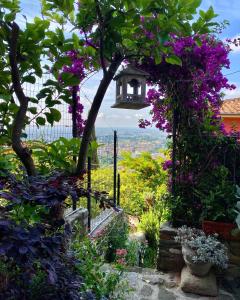 博尔格阿布贾诺La Magione dei Todaro的种有紫色花卉和喂鸟器的花园