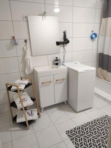 Village-NeufStudio 45m2 très calme的一间带水槽和洗衣机的浴室