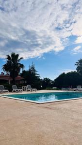 托雷桑塔萨宾娜I Giardini Dell'Agave的一个带椅子的游泳池,并种植了棕榈树