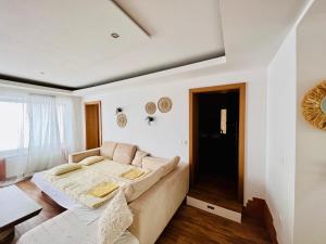 卢布尔雅那Sunny app的客厅配有沙发和1张床