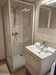 Saint-Benoît-sur-Loirela madeleine的带淋浴和白色盥洗盆的浴室