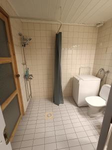 易拉斯加威Ylläs Nilimaja的一间带卫生间和淋浴的浴室