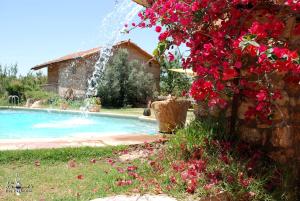 ZaghouanDar Zaghouan的一座带喷泉游泳池的房子