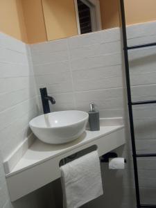 托莱多SEÑORÍO DE ORGAZ III的一个带碗水槽的柜台浴室