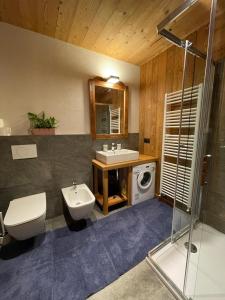 瓦托内切MaisonGorret的一间带水槽、卫生间和淋浴的浴室