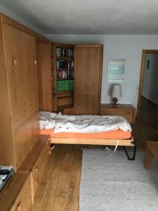 达沃斯达沃斯公寓的一间卧室设有一张床和一个书架