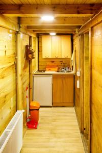 Kokin BrodBrvnara 3 zvezde - brvnara Djordje的一间带水槽和冰箱的小厨房