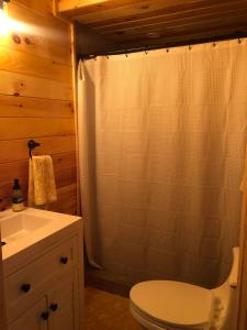 Beddington Lake Log Cabin的浴室配有卫生间、淋浴和盥洗盆。