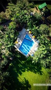 莫雷蒂斯Pousada e Restaurante Dona Siroba的享有树木游泳池的顶部景致