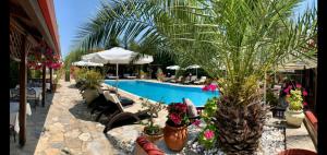 埃利亚Agrili Apartments & Rooms的一个带游泳池和棕榈树的度假村
