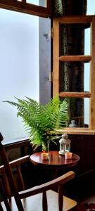 里泽DUDİ KONAK HOTEL的坐在窗边桌子上的植物