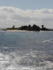 阿约拉港El Paraiso的海洋上的一个岛屿,上面有树木
