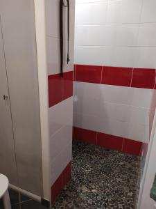 阿纳齐Maison avec parking privatif的浴室铺有红色和白色瓷砖,设有淋浴。