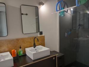 凯恩Maison individuelle à Caen的一间带水槽、镜子和淋浴的浴室