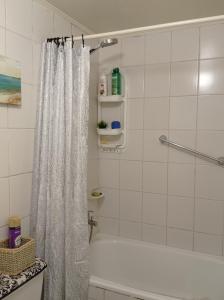 圣地亚哥Dulce hogar的浴室配有淋浴帘和浴缸。