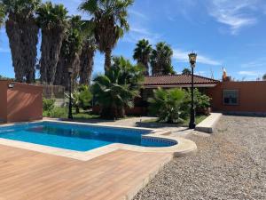 莫特里尔“Soleado” Casa rural con piscina的棕榈树屋前的游泳池