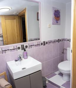 佩德罗－贝尔纳多Casa Rural El Burrito de Gredos的一间带水槽、卫生间和镜子的浴室
