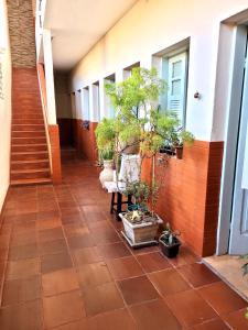 雷森迪Pousada Diniz的建筑一侧的走廊上,有盆栽植物