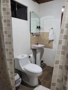 SiquirresCabaña Linda Vista, descanso y naturaleza的一间带卫生间和水槽的浴室