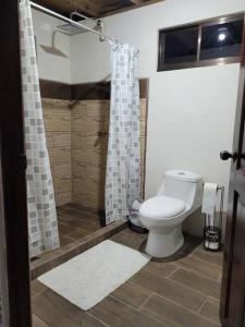 SiquirresCabaña Linda Vista, descanso y naturaleza的一间带卫生间和淋浴的浴室
