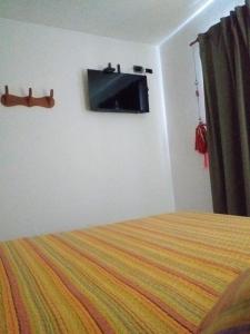 圣米格尔·德·图库玛Tucuman Centro Departamento的卧室配有一张床,墙上配有电视。