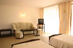 阳光海滩克里苏拉酒店的一间配备有沙发及电视的酒店客房