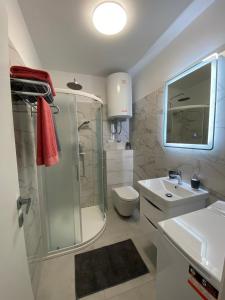 法扎纳Roberto的带淋浴、盥洗盆和卫生间的浴室
