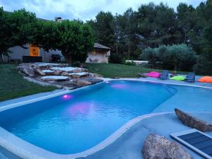 罗克布伦河畔阿尔让Villa Pio的庭院里的一个蓝色海水大型游泳池