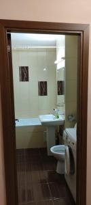 奥拉迪亚Central Vanilla Oradea的带浴缸、盥洗盆和卫生间的浴室