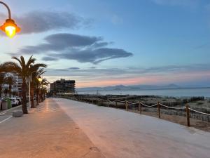 阿勒纳勒斯德尔索尔Sea-view 3-bedroom apartment near Alicante的海滩旁的一条人行道,种植了棕榈树