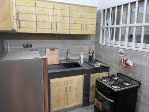 洛美Appartement Kekely的厨房配有水槽和炉灶