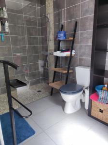 莱萨布勒-多洛讷Chambre et salle d'eau dans dépendance 20 m2, vélos的一间带卫生间和淋浴的浴室