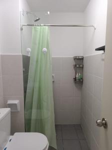 雪邦Qilayna guest room的一间带绿色淋浴帘和卫生间的浴室