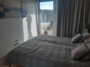 TomaszkowoApartament nr 9 Mazurskie Klimaty的一间卧室设有一张床和一个美景窗户。