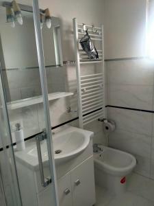 舒加塔格盐矿镇Maramureș plai cu flori的白色的浴室设有水槽和卫生间。