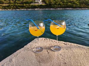 RogačićPerina Haven - Island Vis Beachfront的两杯橙汁坐在水边的树 ⁇ 上